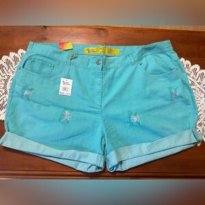 Rustic Denim Sz 28 Turquoise Distressed Shorts NWT😊😊